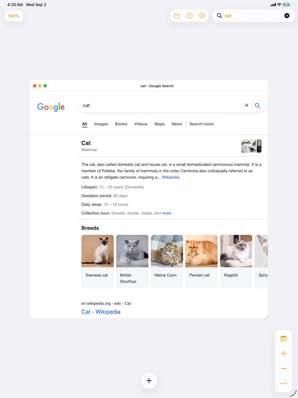 A search typed into the address bar at the top of the canvas, with the results opening in a new window on the canvas below