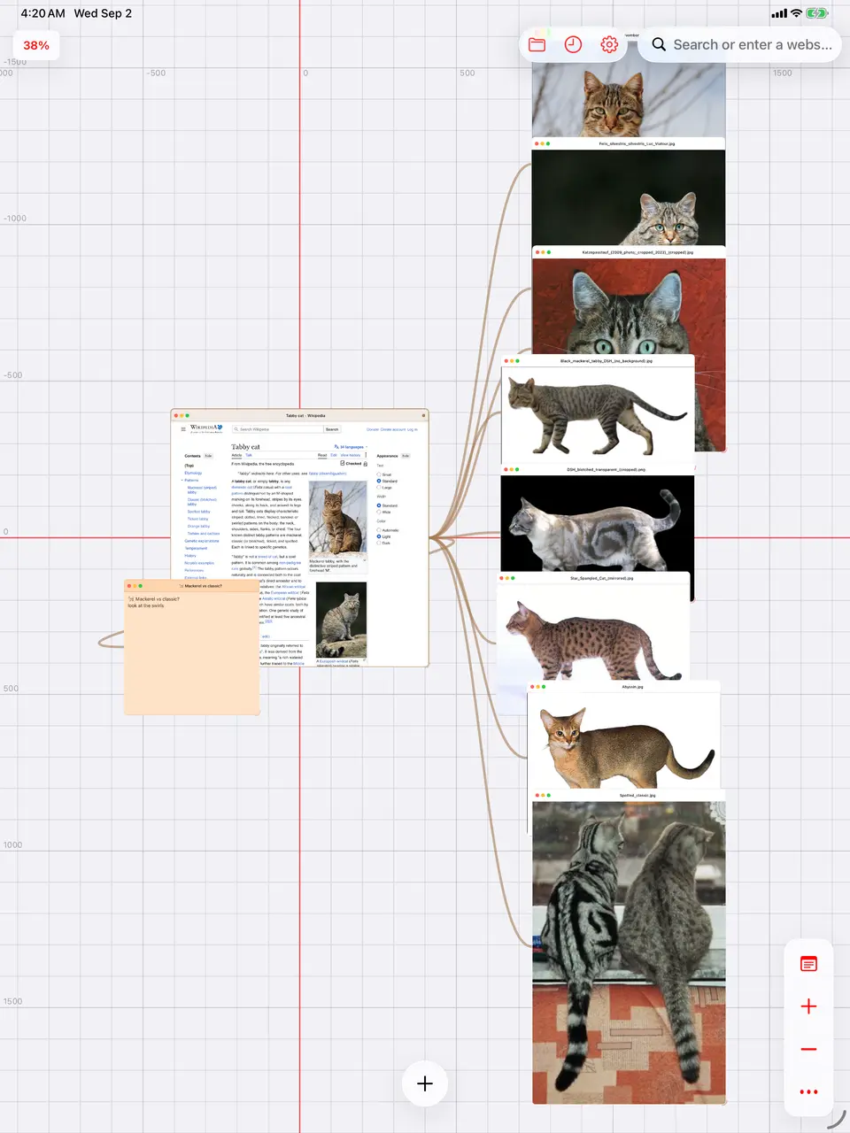 A Wikipedia article beside a column of image windows pulled from it, each linked back to the article with a connection line