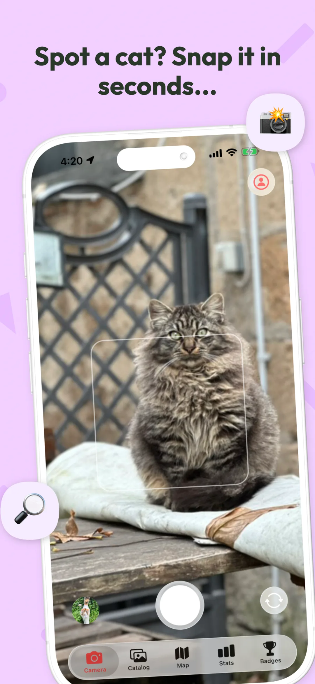 Pawsport: Cat Travel Passport screenshot 2